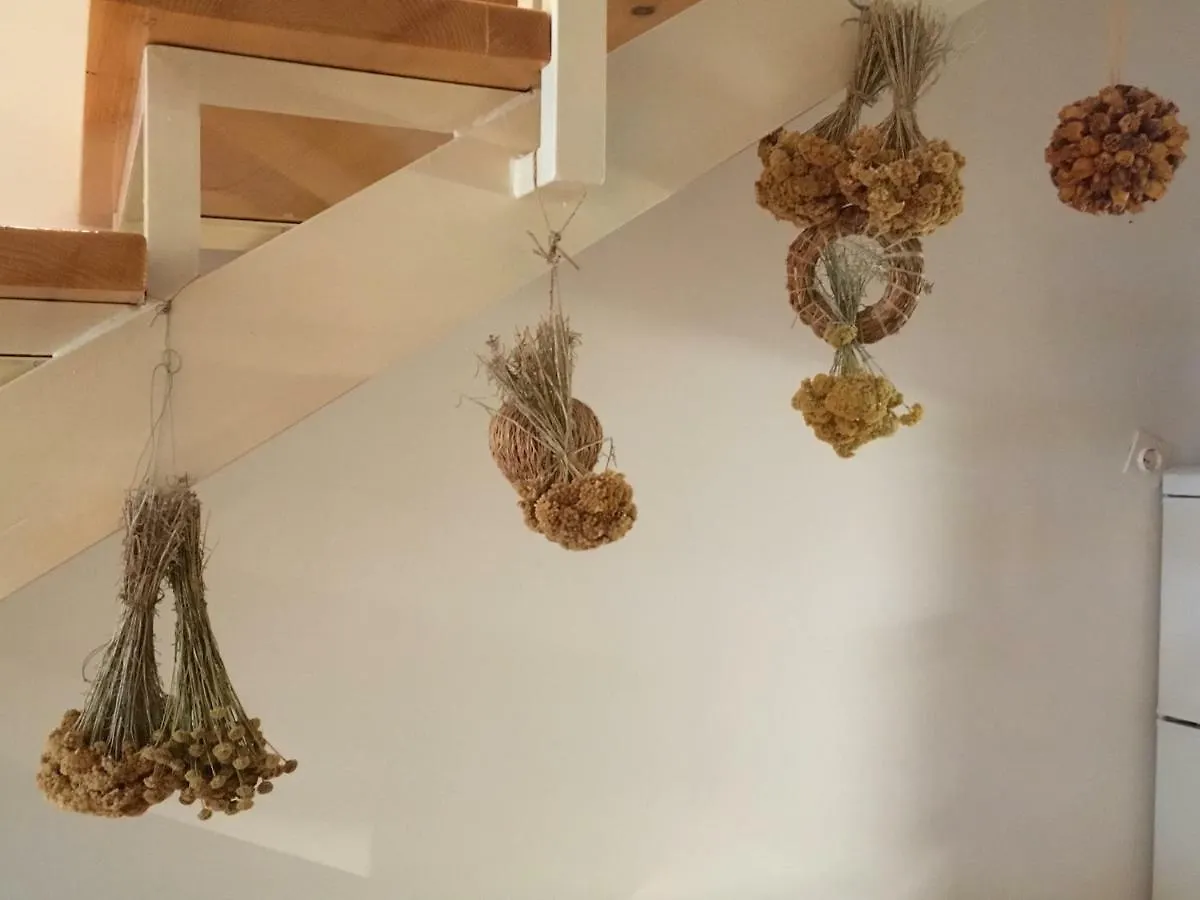 Apartment Behin Martinšćica Croazia